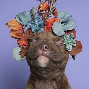 Meet your Posher, Leslie